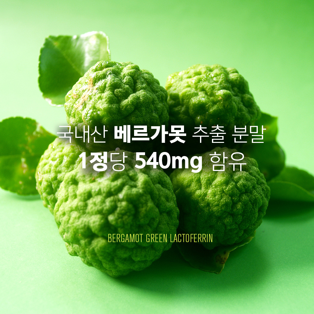 나은플러스 베르가못 그린 락토페린 (600mg X 60정) 체중관리