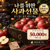 나를 위한 사과선물 — 풍기·영주 실속 대과 10kg