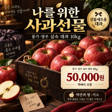 나를 위한 사과선물 — 풍기·영주 실속 대과 10kg